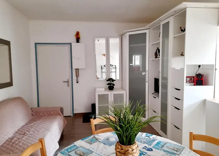 Apartment T2 A Pres Du Centre Et De La Avec Parking Et Terrasse - Fr-1-319-465 *